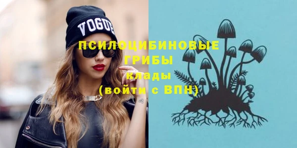 тгк Переславль-Залесский