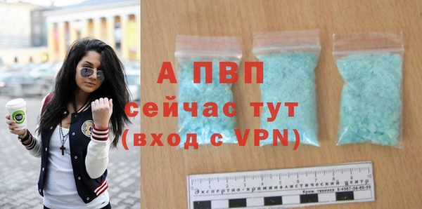 трава Пересвет